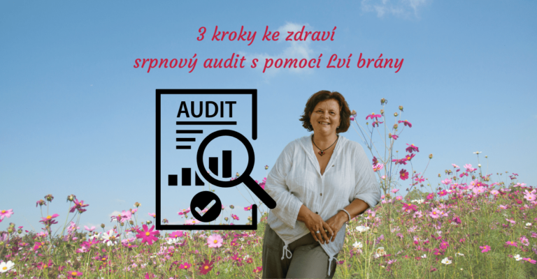 3 kroky ke zdraví srpnový audit